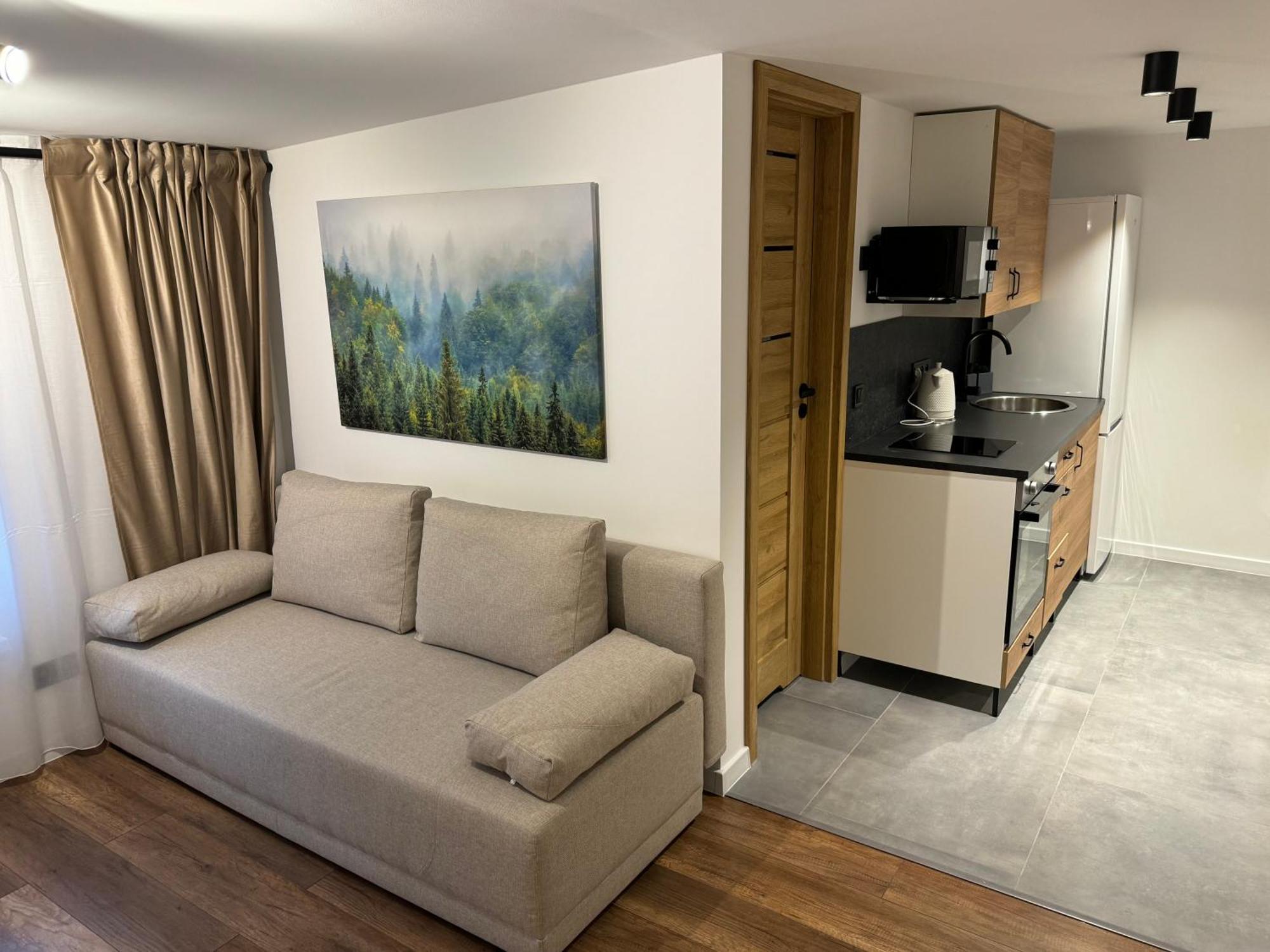 Gray Apartment 24H - Parking On The Street Katowice Exterior foto